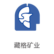 CA88合作伙伴：藏格矿业